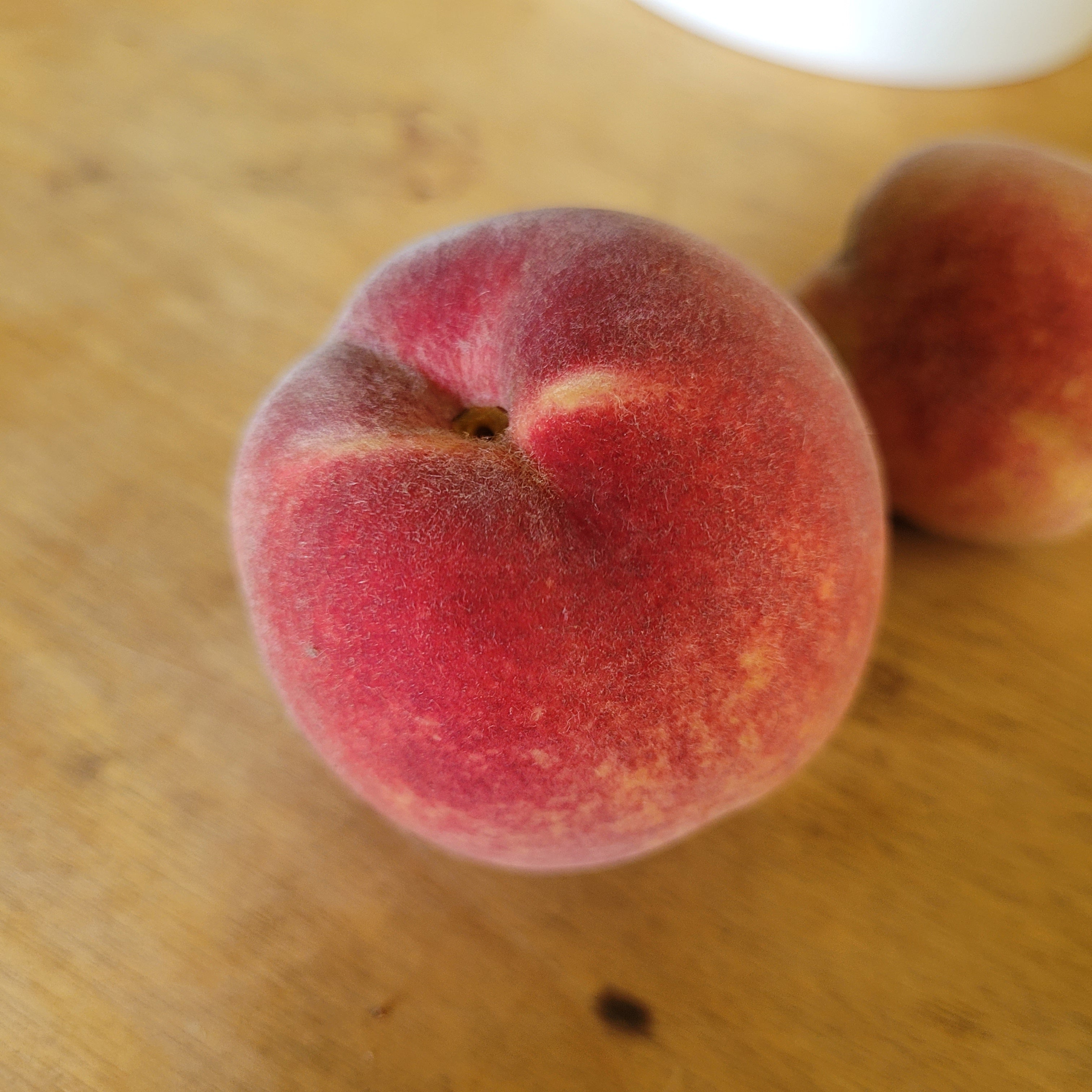 Fairtime Peach Tree for Sale - Grow Organic