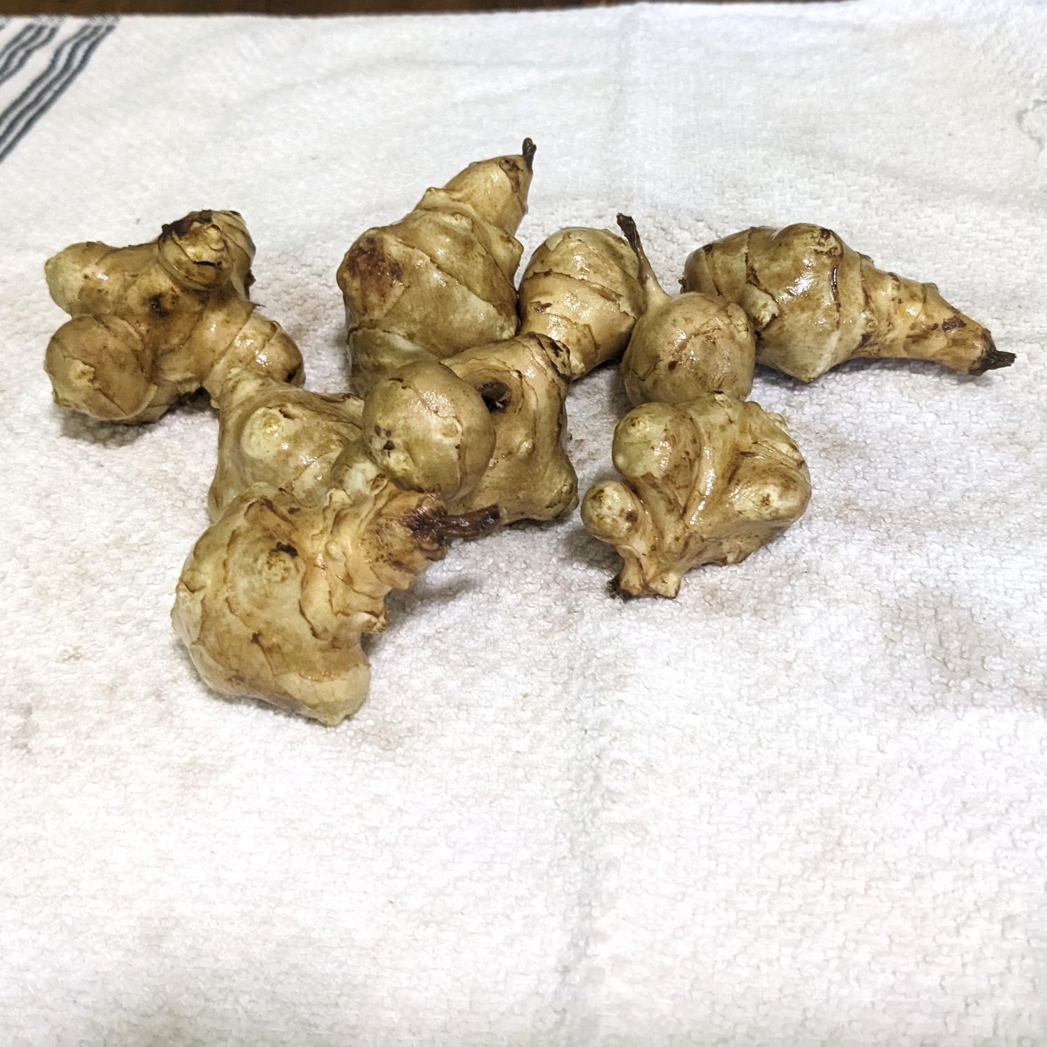 Corlis Bolton Haynes Sunchokes