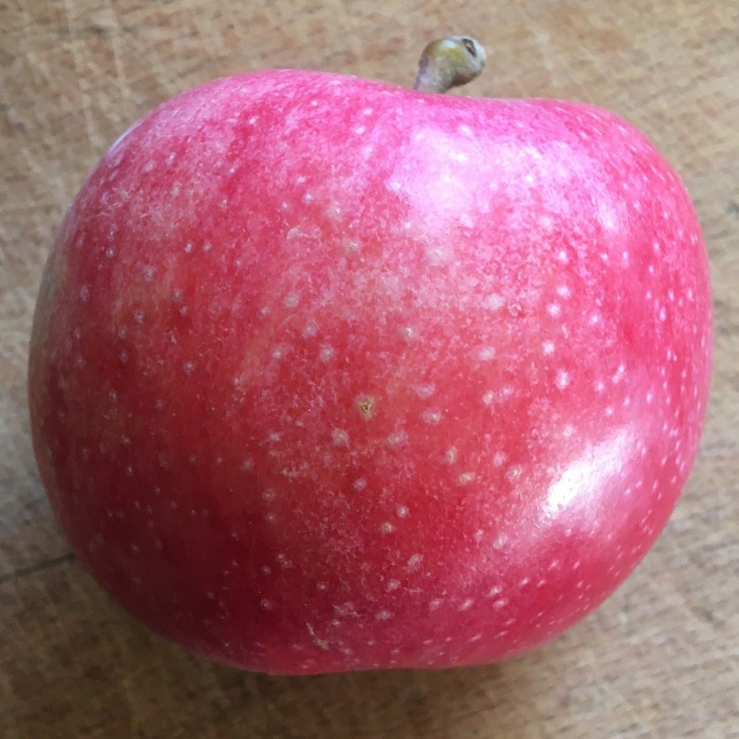 Salome Apple