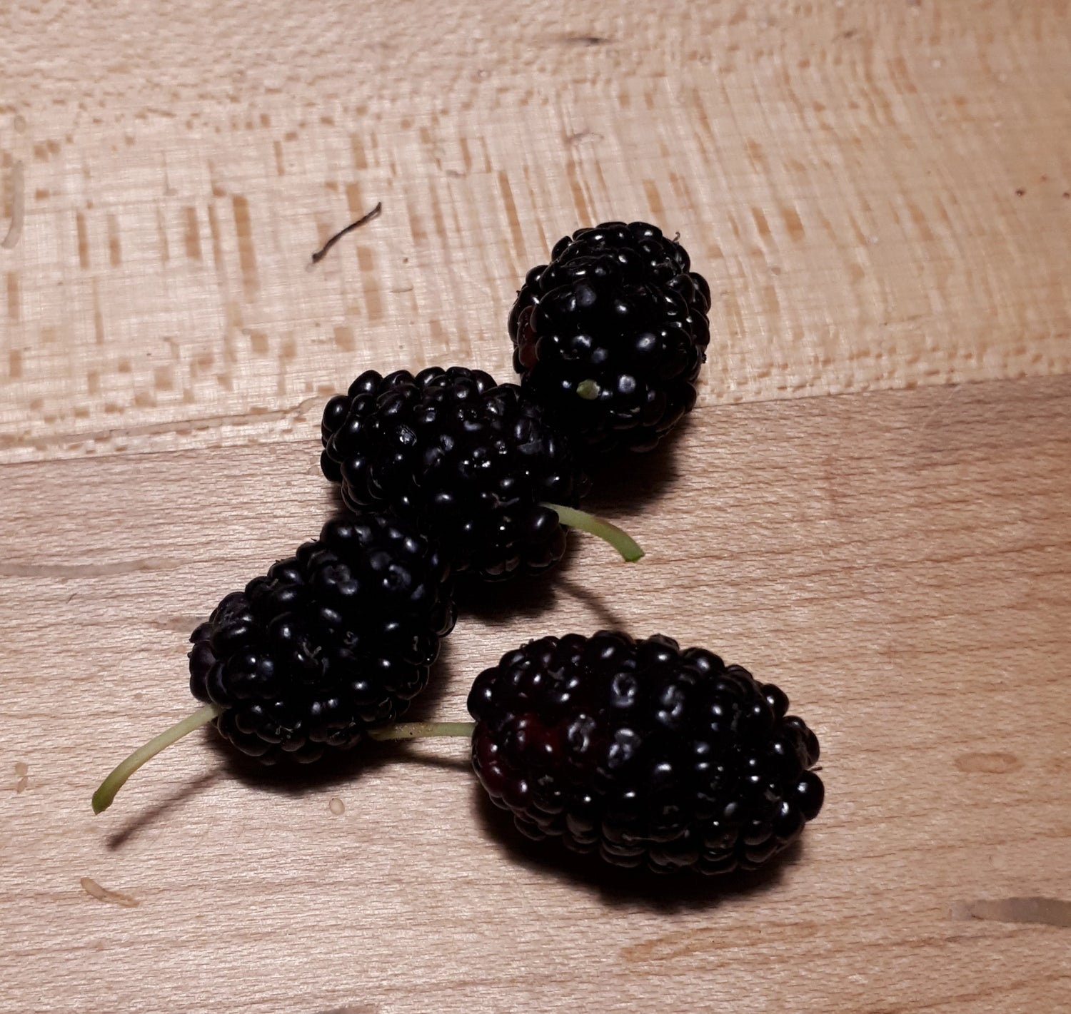 Dwarf Everbearing Mulberry Bush - mulberries on a table