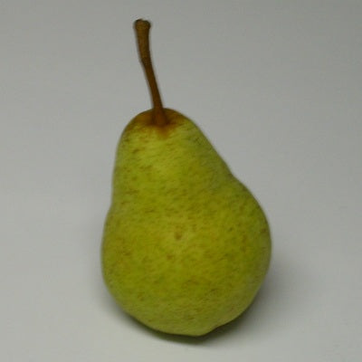 Bartlett Pear