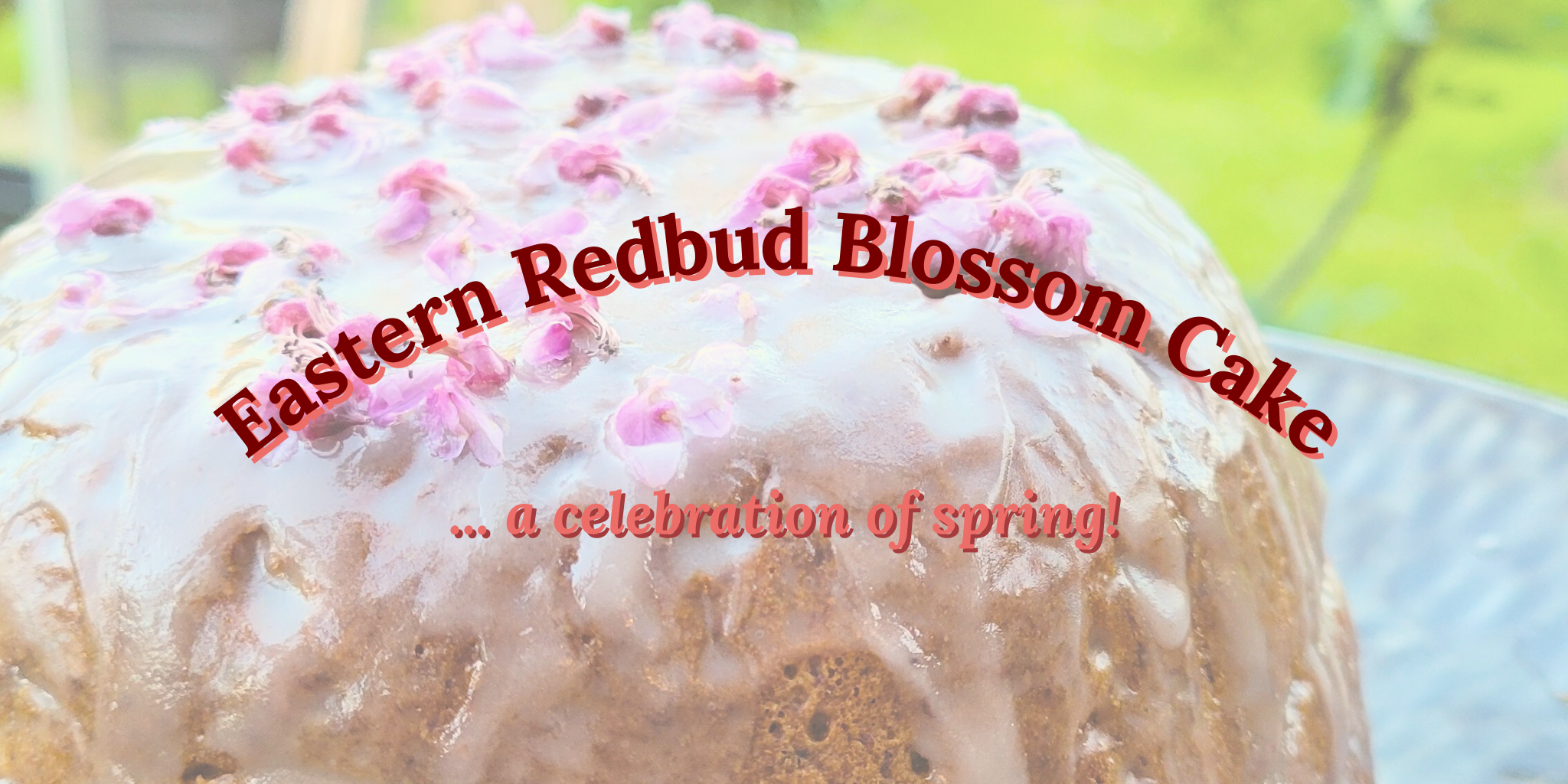 Lemony Eastern Redbud Blossom Cornbread Cake
