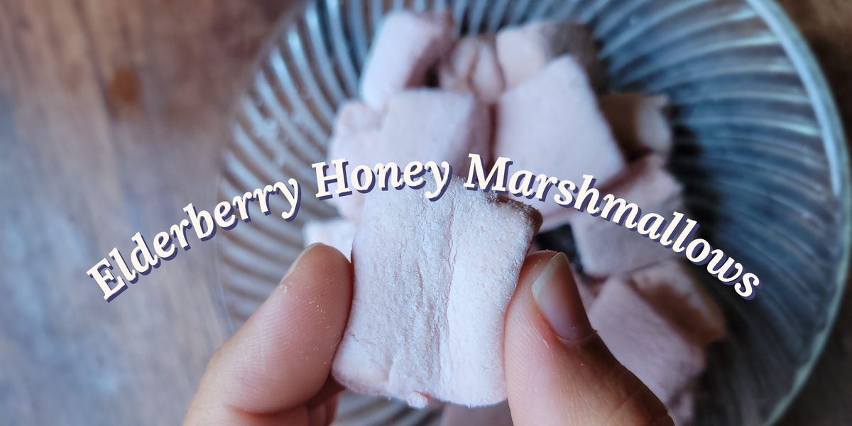 Elderberry Honey Marshmallows