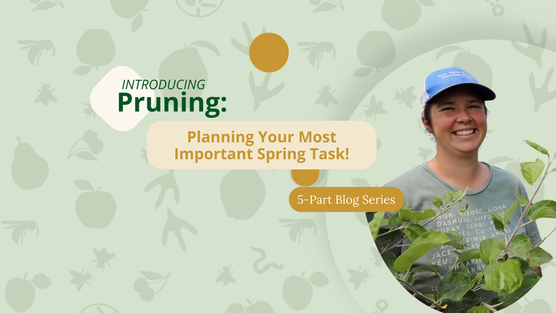 Planning Your Most Important Spring Orchard Task