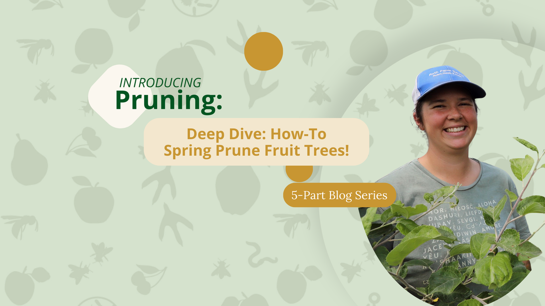 How to Spring Prune Your Fruit Trees