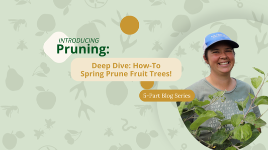 How to Spring Prune Your Fruit Trees