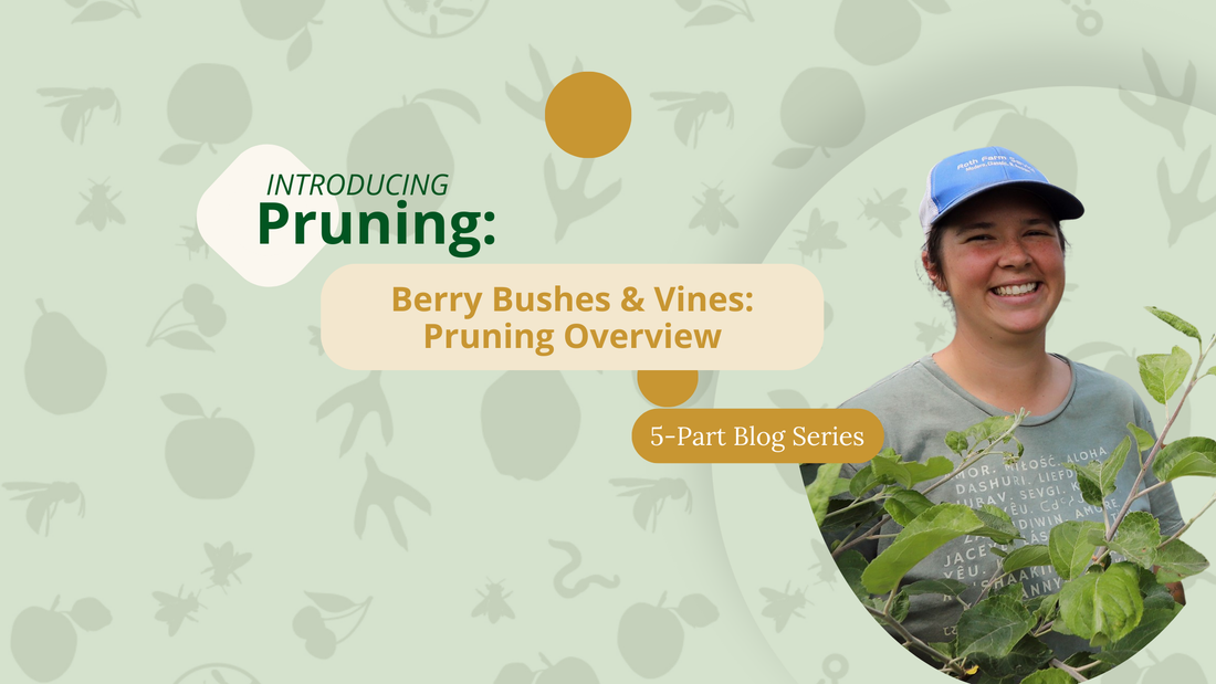 Pruning Berry Bushes & Vines