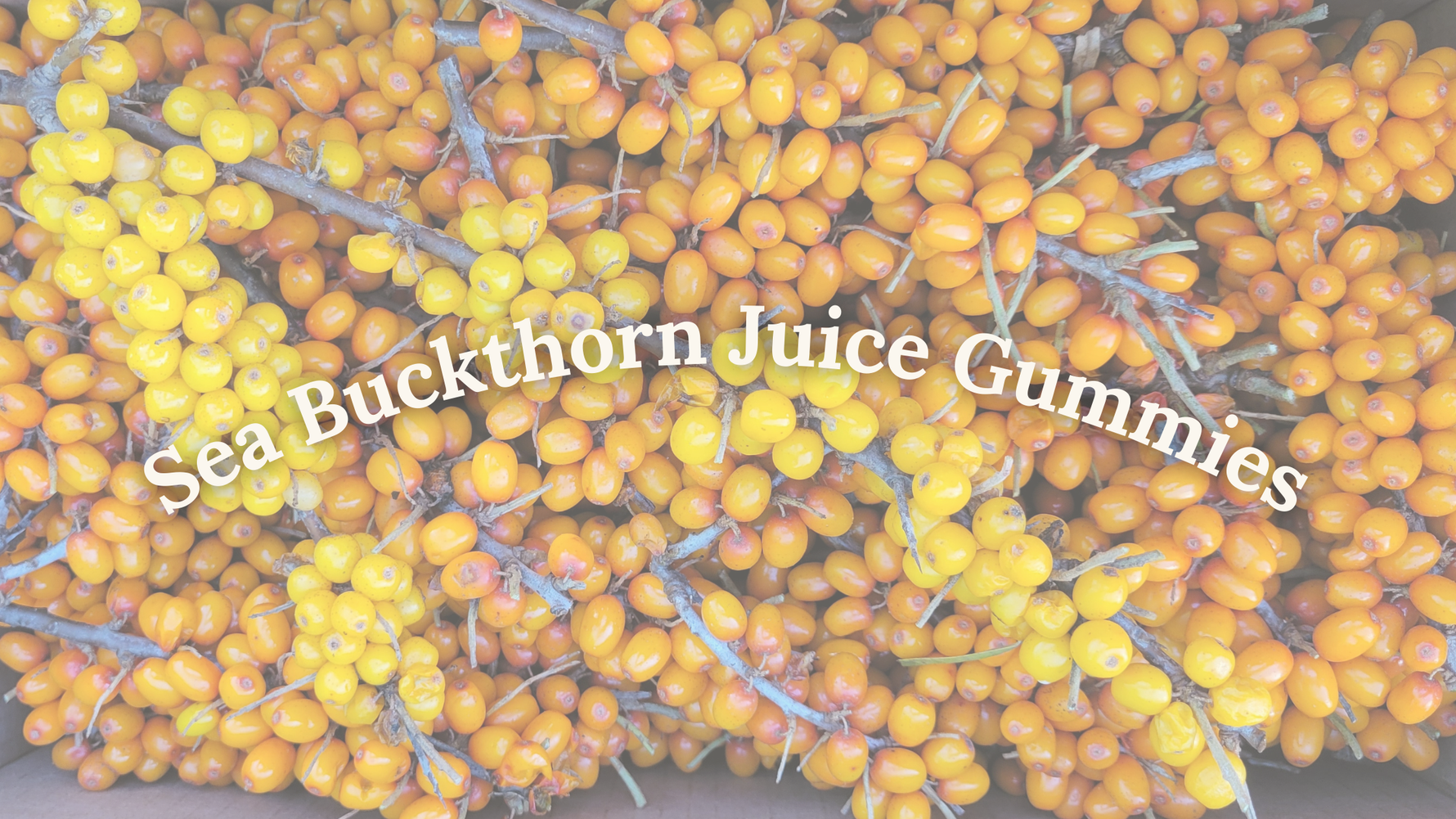Sea Buckthorn Juice Gummies