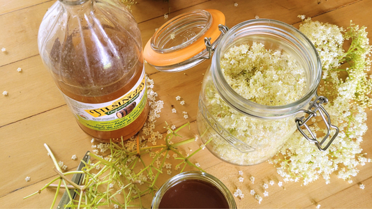 Elderflower Oxymel