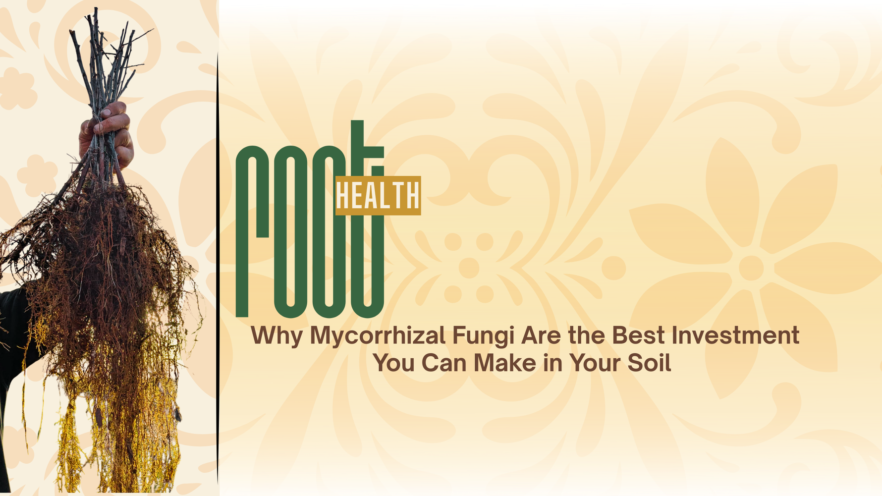 Mycorrhizal Fungi (A mindful alternative to Black Friday chaos)