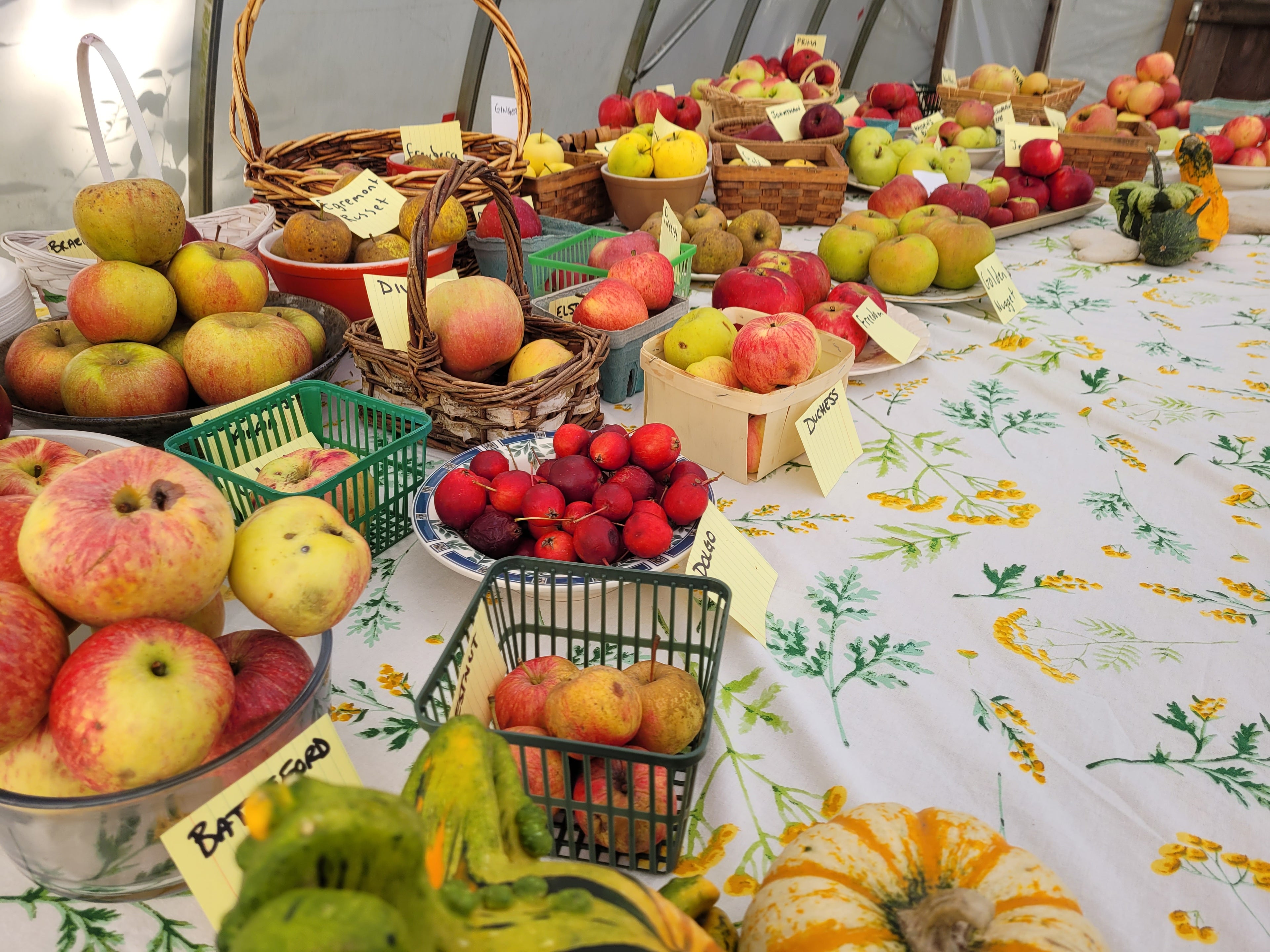 Orchard Tasting Box