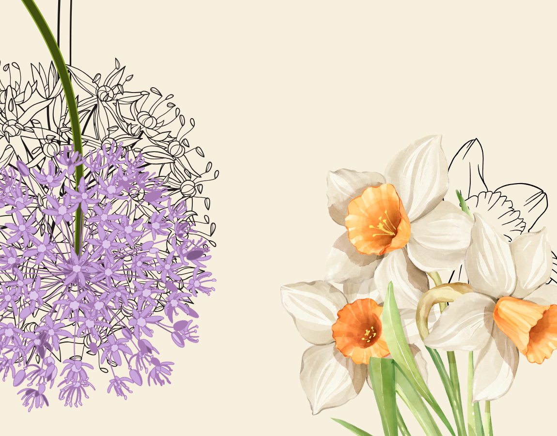 Fall Bulbs