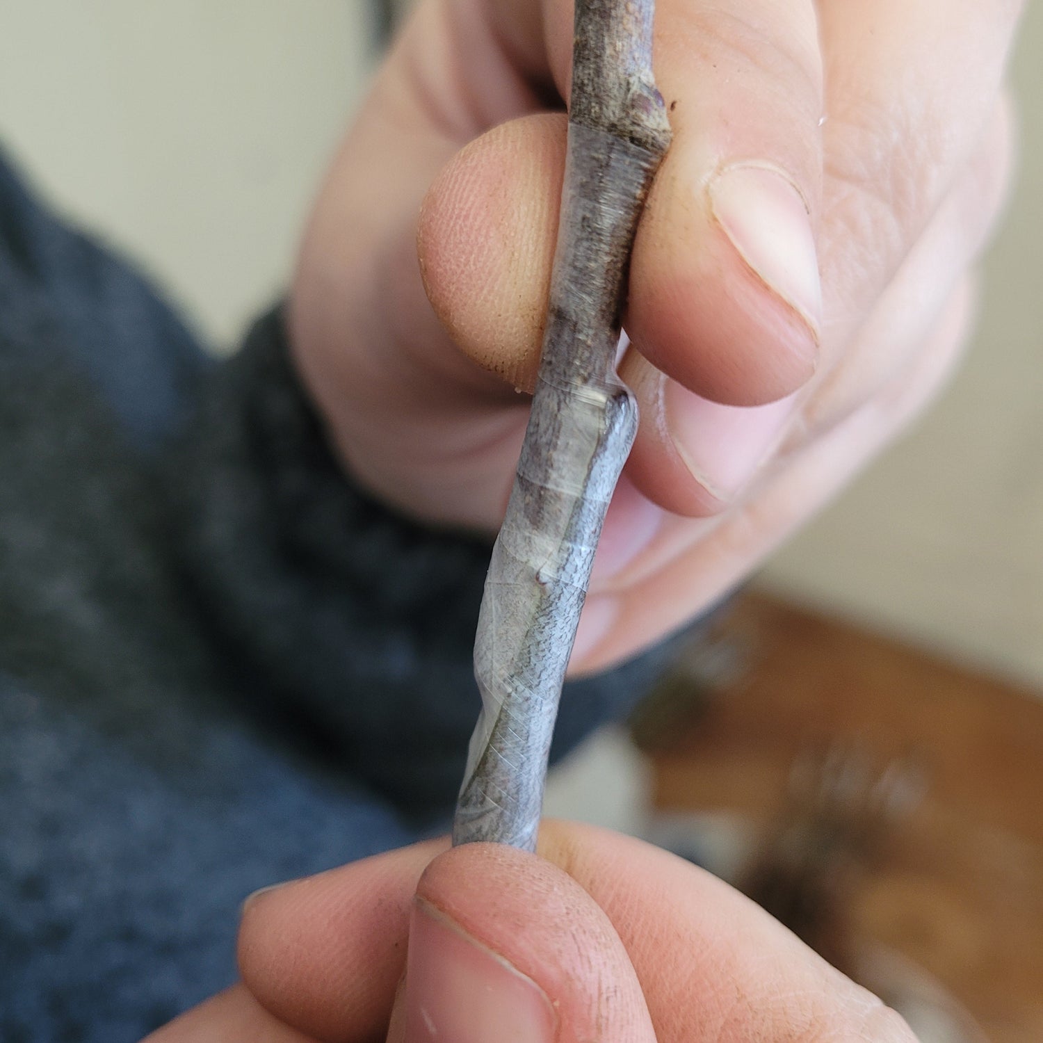 1-on-1 Grafting Experience