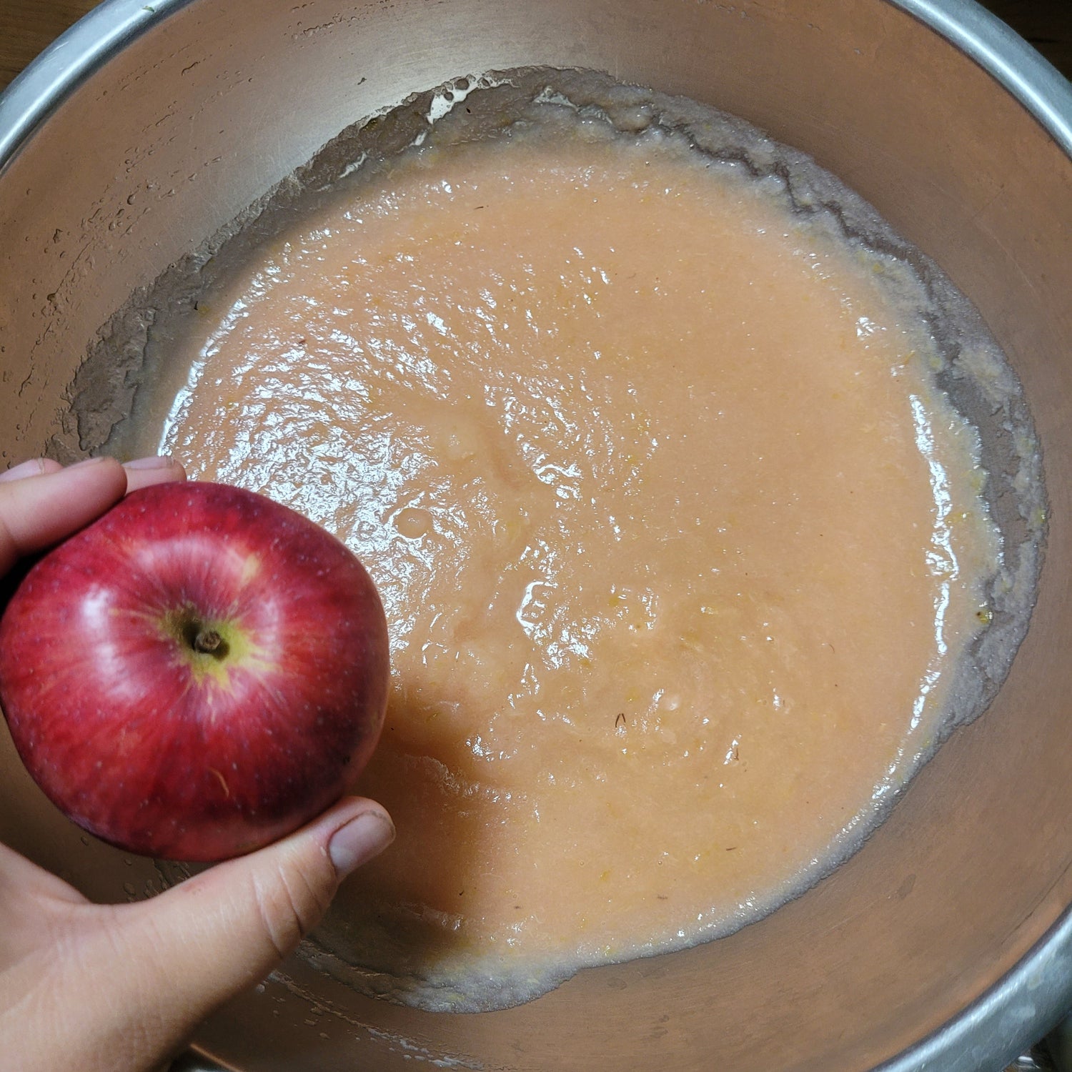 Close Apple Scionwood