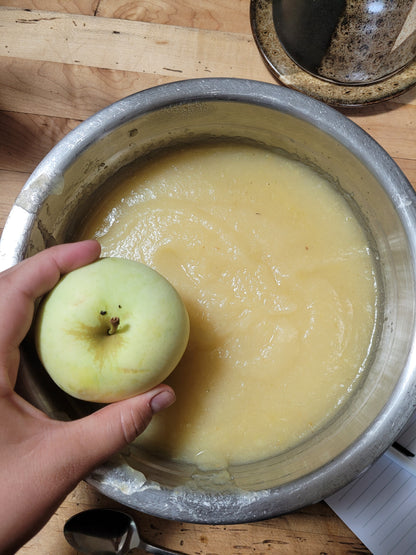 Yellow Transparent Apple