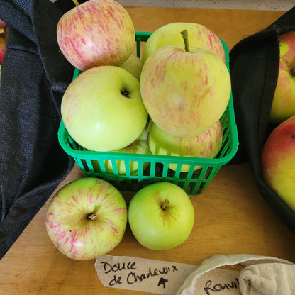 Douce de Charlevoix Apple