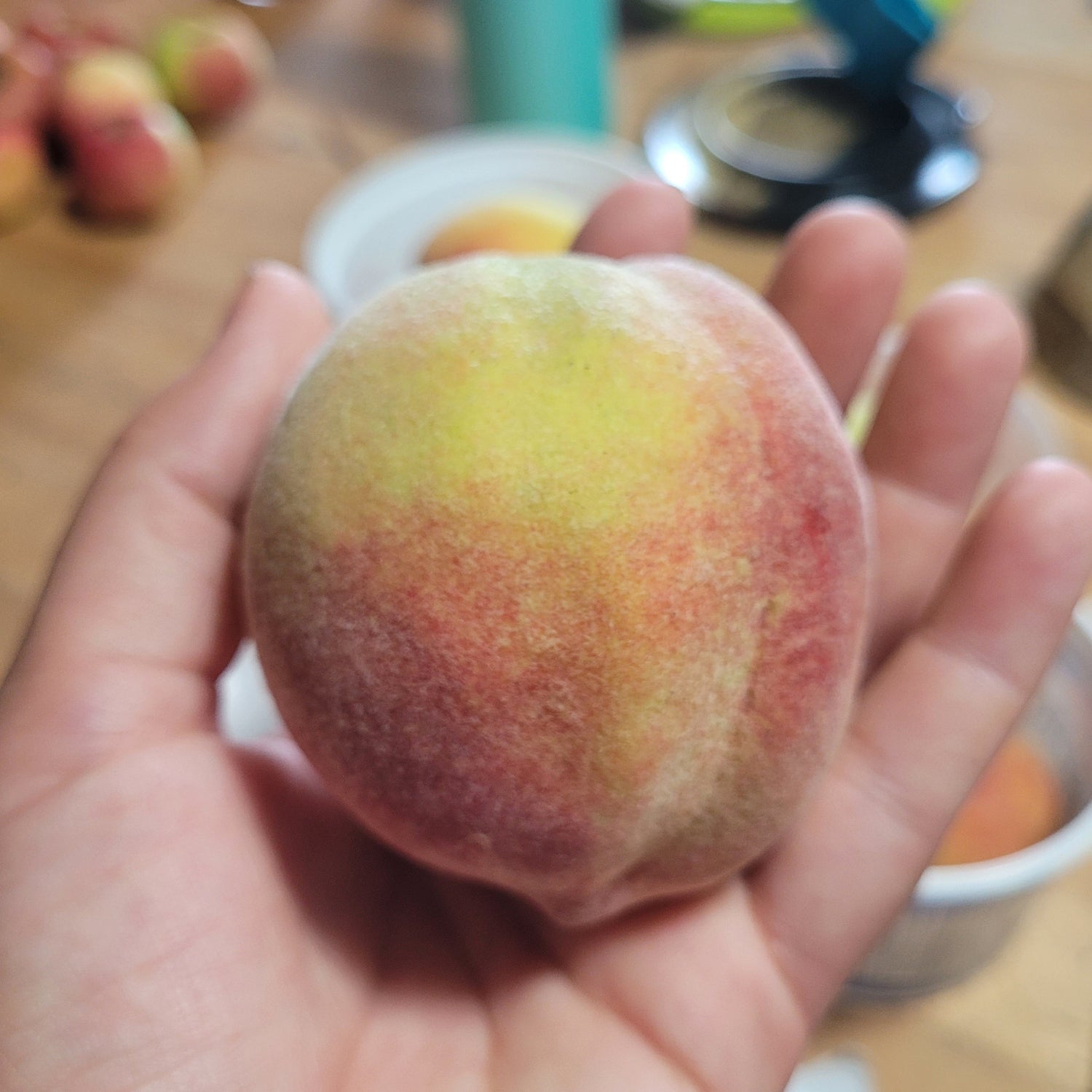Crimson Rocket Peach Bareroot