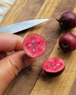 Maypole crabapple cut in half to reveal the red fleshed apple.
