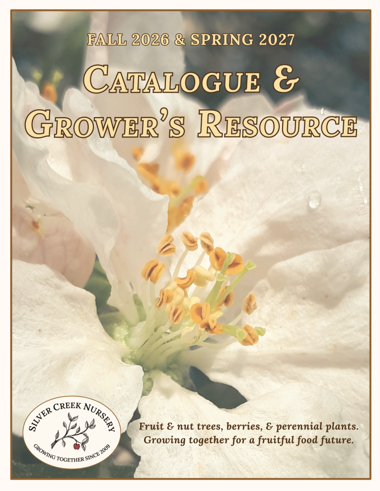 Fall 2026 & Spring 2027 Silver Creek Nursery Catalogue & Growers Guide - Hard Copy