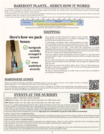 preview of catalogue info