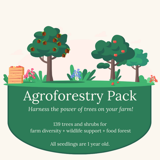 agroforestry tree pack - 139 trees and shrubs to boost farm diversity, sustainability, wildlife support and food forest creation.