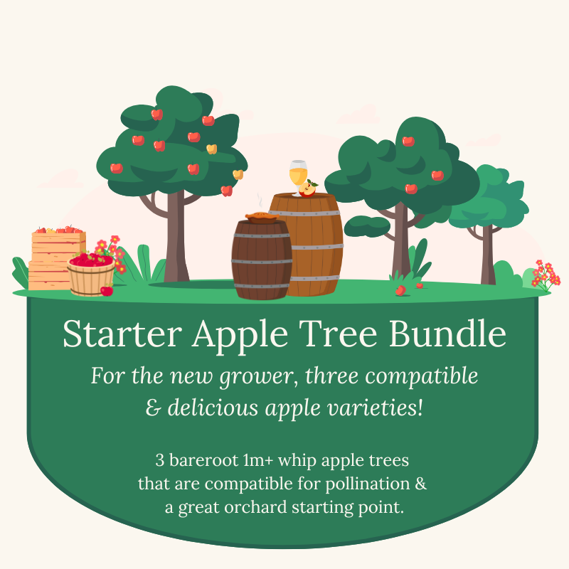 Starter Apple Tree Bundle