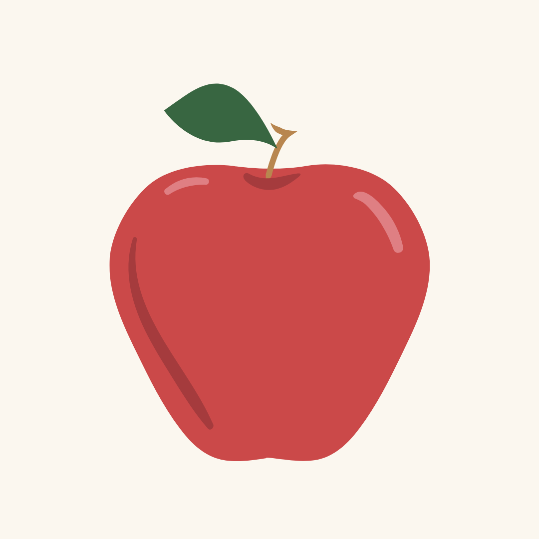 Arkansas Black Apple Bareroot