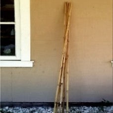 Bamboo stakes leaning against a wall.