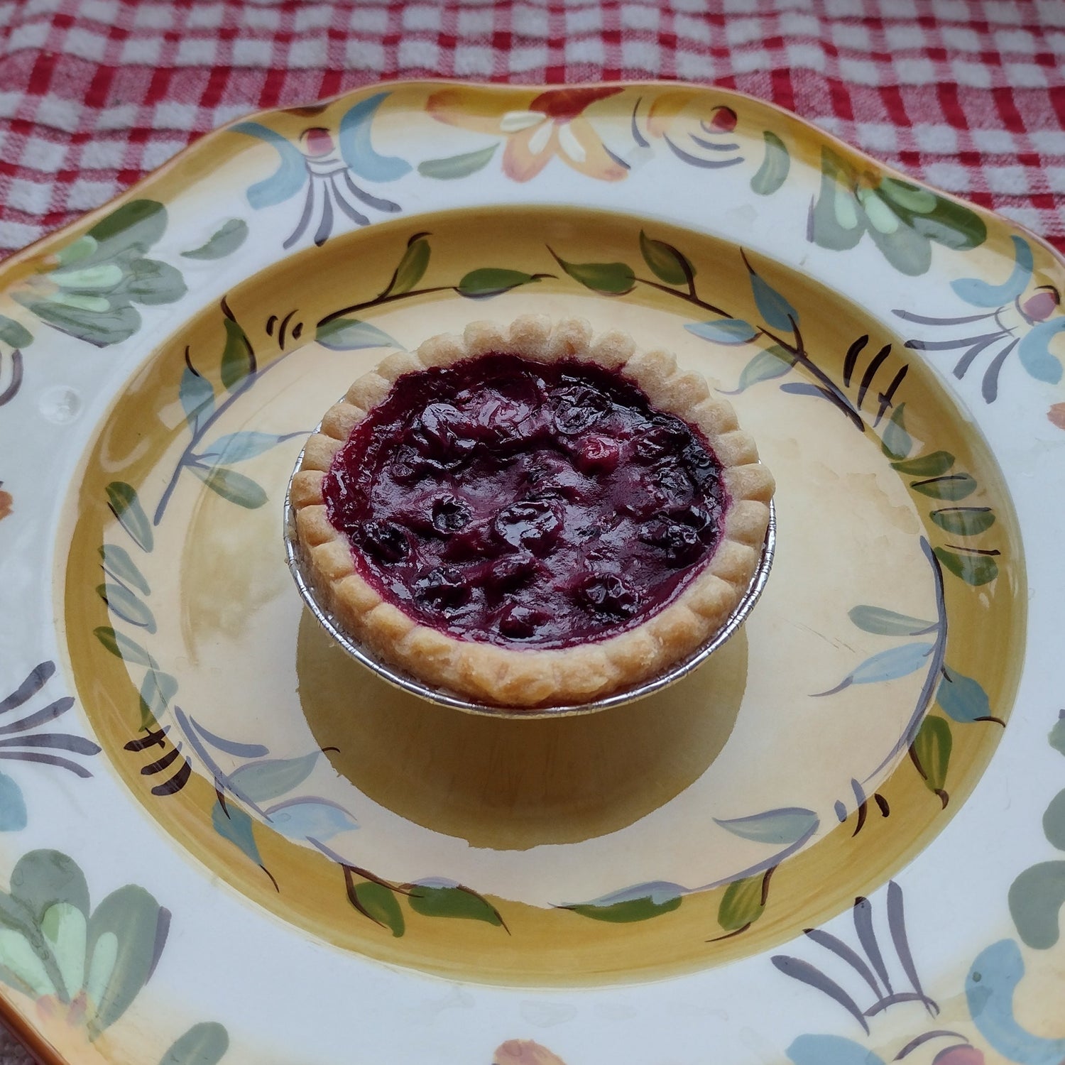 BB4 Lowbush Blueberry Bareroot
