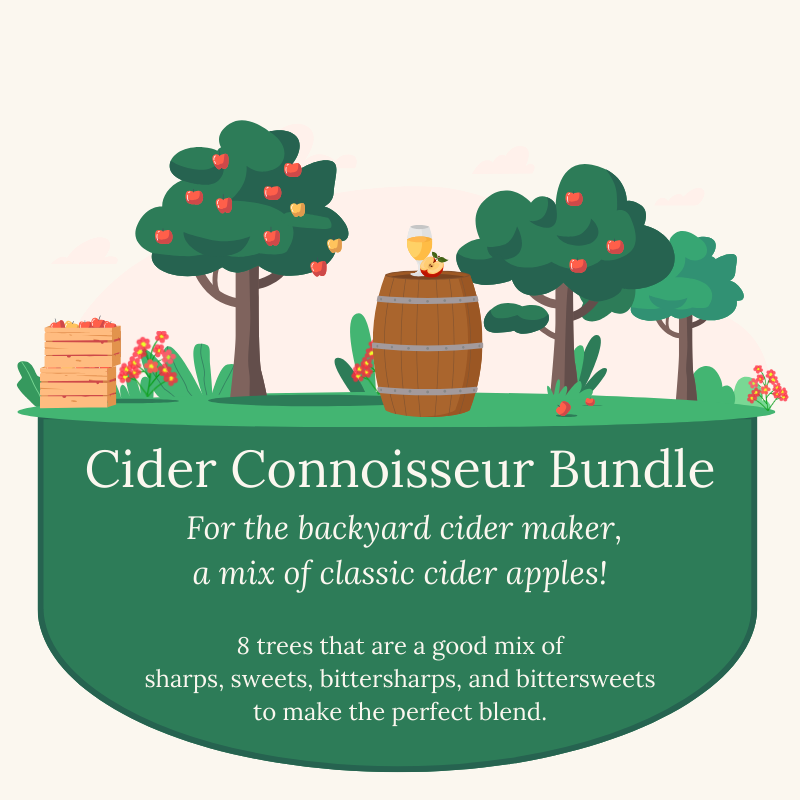 Cider Connoisseur Bundle: 8 trees that are a good mix of  sharps, sweets, bittersharps, and bittersweets  to make the perfect blend.