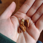 Ultra Northern Pecans in the palm of someone's hand