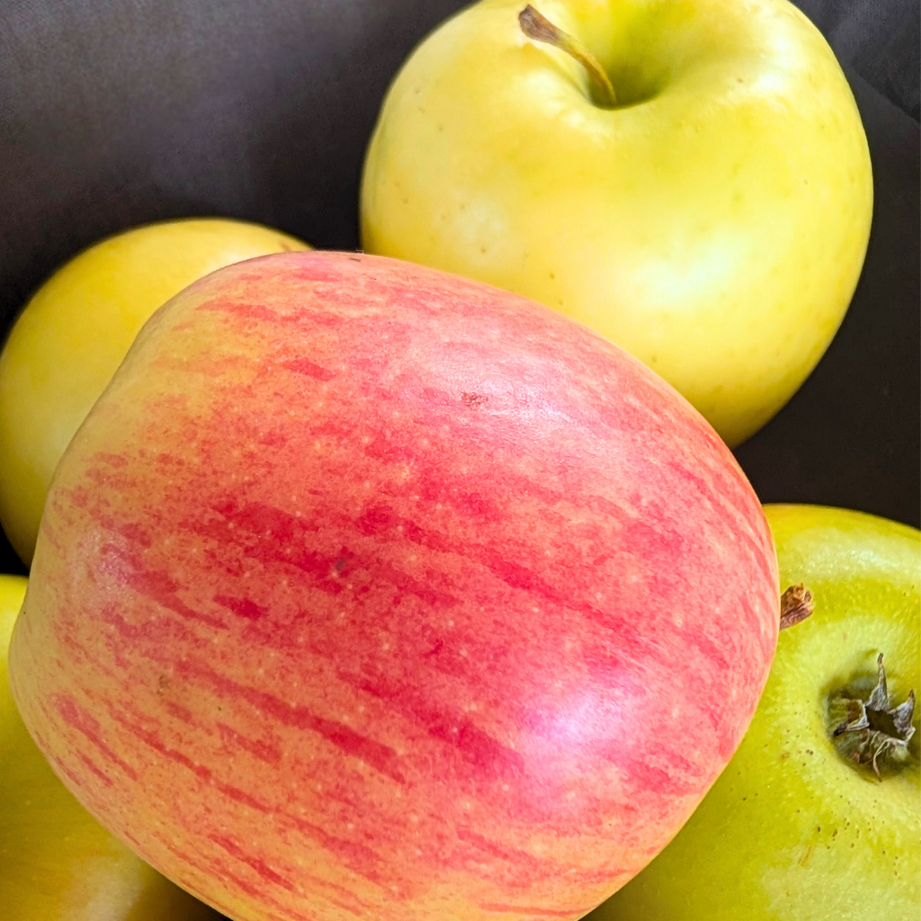 Delbarestivale Apple Tree (Bareroot)