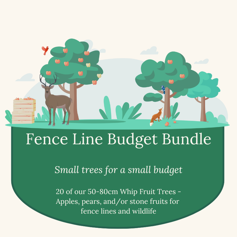 Fence Line Budget Bundle