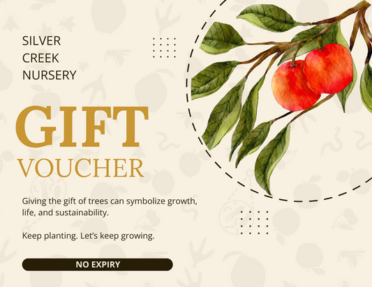 Gift Voucher - what your voucher will look like