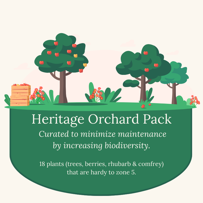Heritage Orchard Plant Pack. Curated to minimize maintenance by increasing biodiversity, with a focus on tried-n-true varieties.