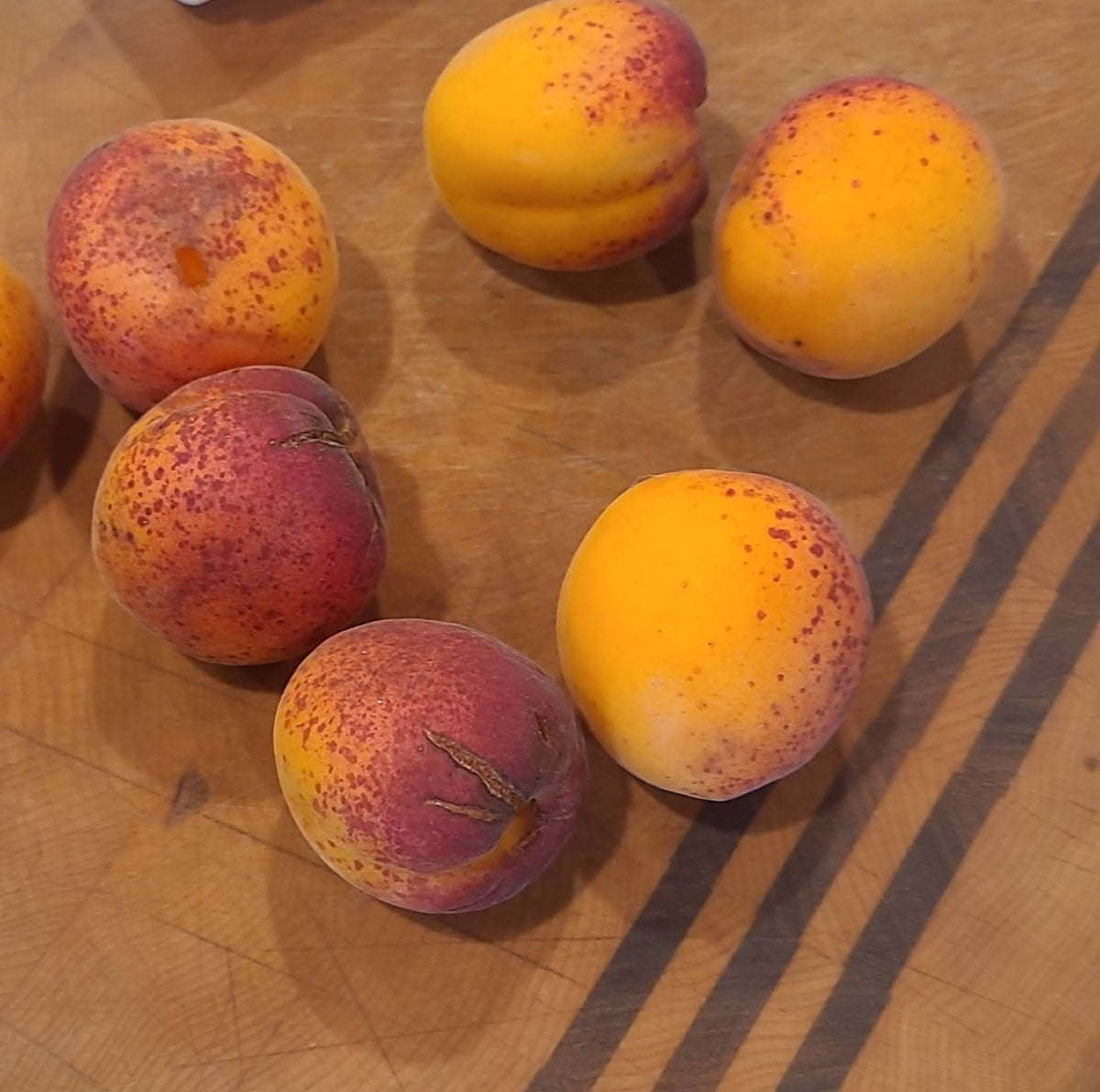 Seedling apricot fruits sitting on a cutting board.