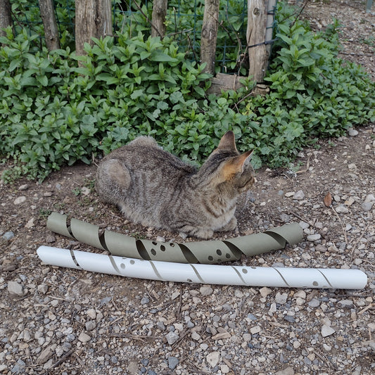 A white plastic spiral guard and a green biodegradable spiral guard on the ground next to Pippin the cat. She refused to look at the camera.