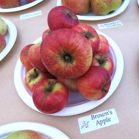 Brown's Apple