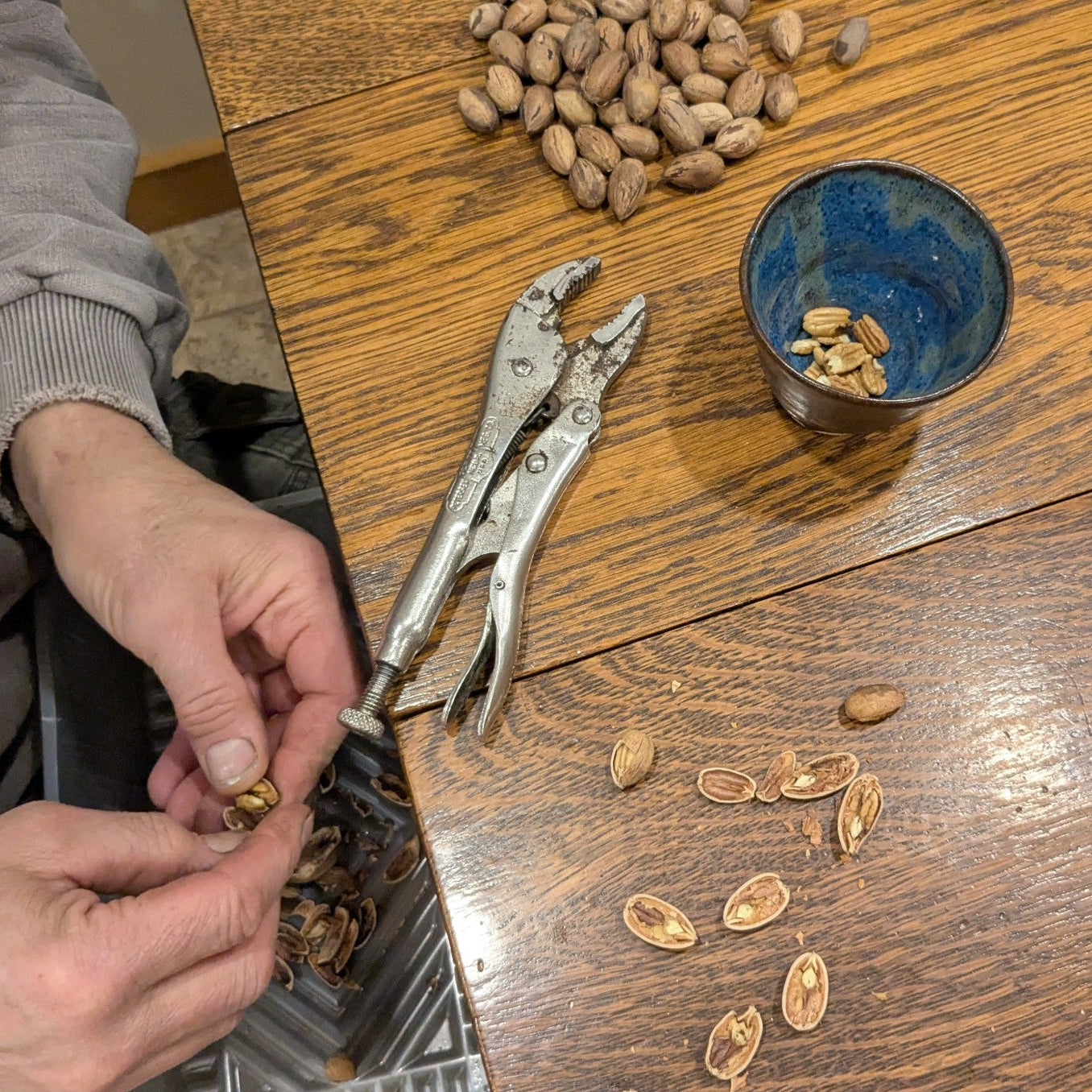 dad cracking his own Ontario-grown pecan nuts