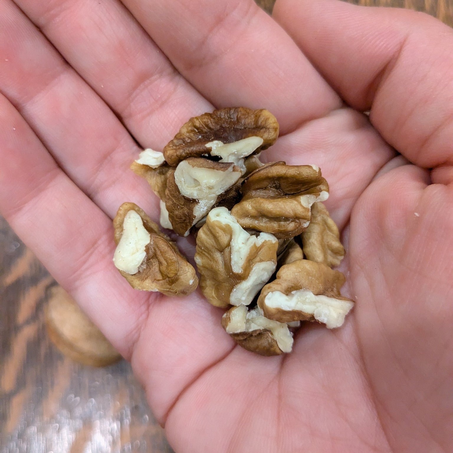 handful of shellbark hickory nuts cracked and shelled