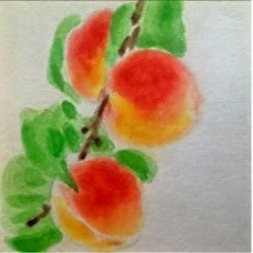 White Lady Peach Bareroot