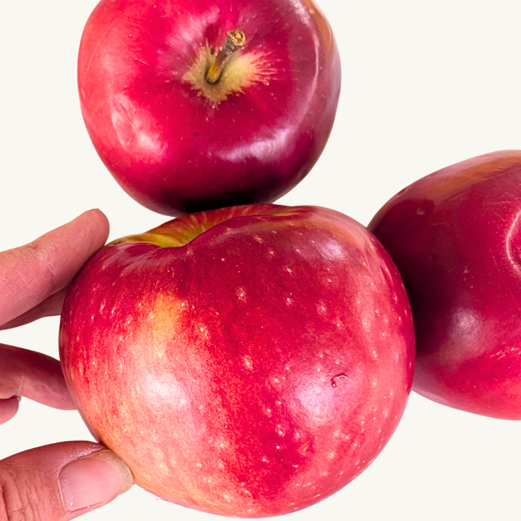 Paula Red Apple Scionwood