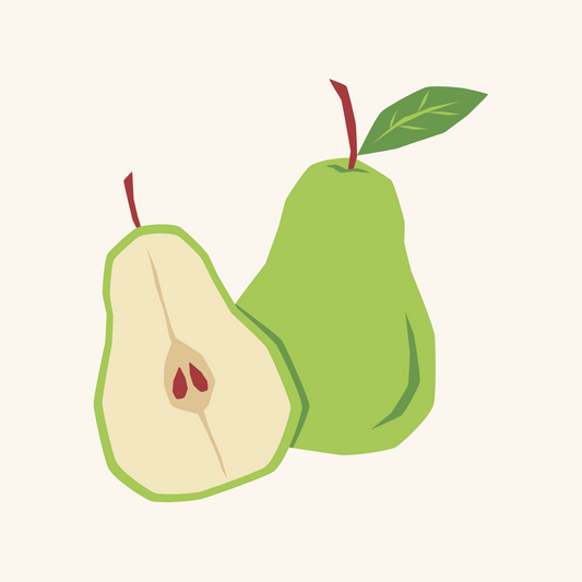 Pear drawing representing Shipova (European Pear and Common Whitebeam hybrid)