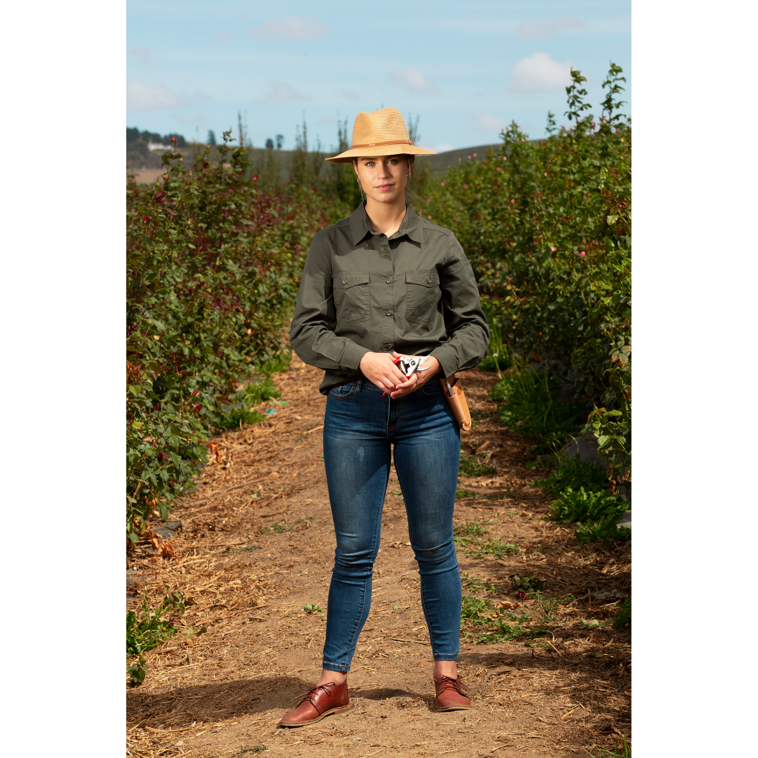 FELCO 14 - Pruning Shears - Small