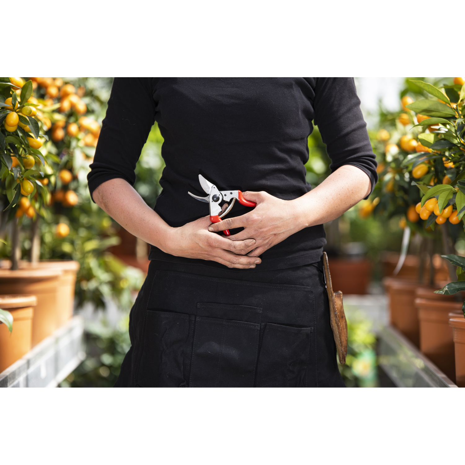 FELCO 16 - Pruning Shears - Medium