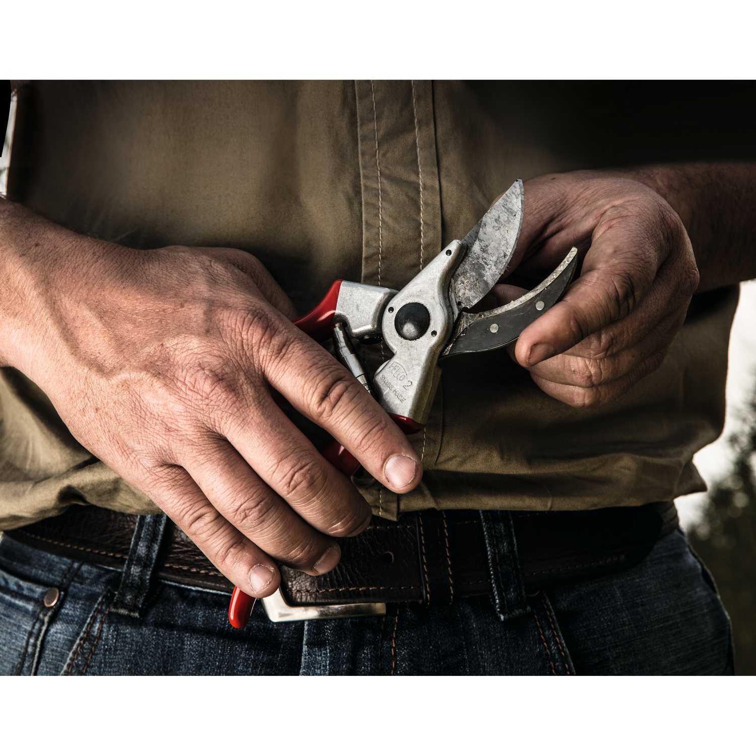FELCO 2 - Pruning Shears - Classic