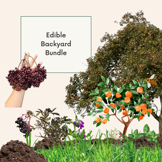 Canadian Edible Backyard Bundle