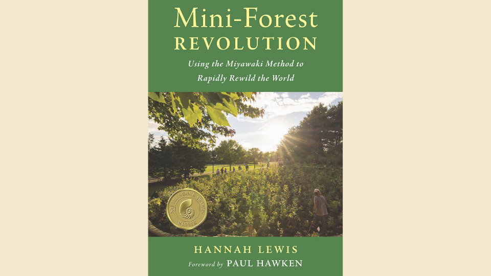 Mini-Forest Revolution by Hannah Lewis