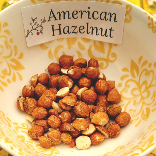 American hazelnuts in a bowl.