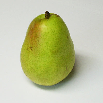 Anjou European Pear Bareroot